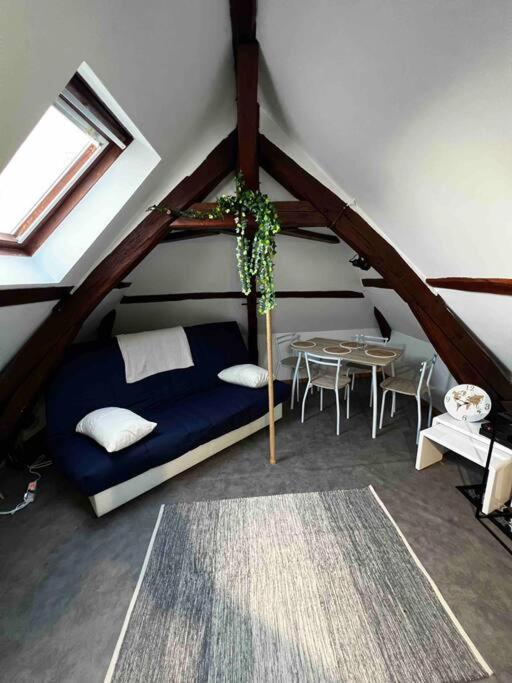 Tres Beau Studio Mansarde, Centre De Bourges Apartment Exterior photo